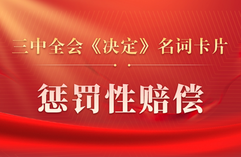 三中全会《决定》名词卡片天天学：惩罚性赔偿