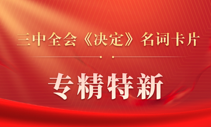 三中全会《决定》名词卡片天天学：专精特新