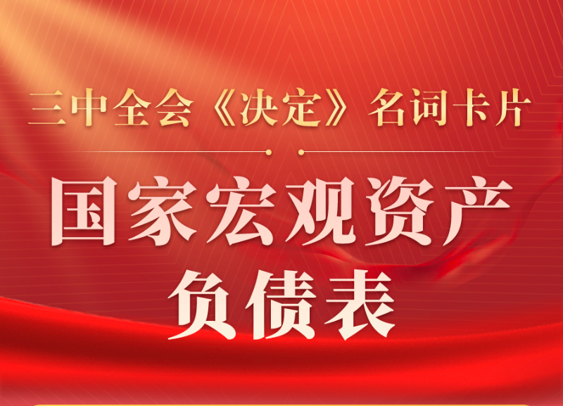 三中全会《决定》名词卡片天天学：国家宏观资产负债表