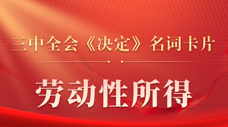 三中全会《决定》名词卡片天天学：劳动性所得