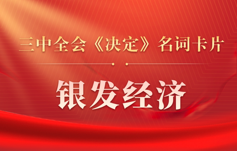 三中全会《决定》名词卡片天天学：银发经济